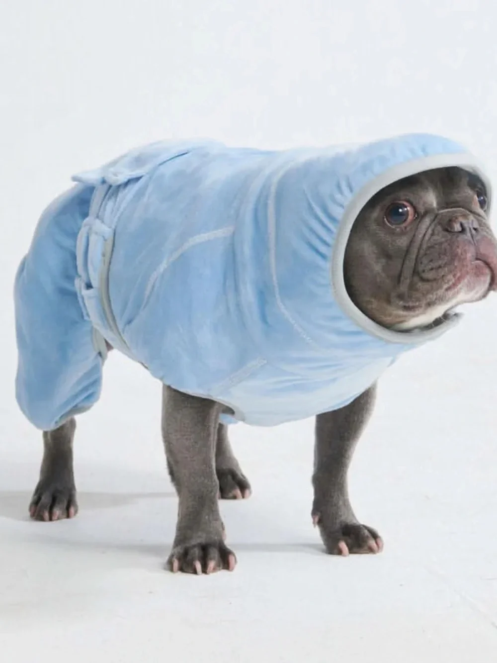 BRAND NEW ✨SPARK PAWS✨ 10 Minute Dry Dog Bathrobe